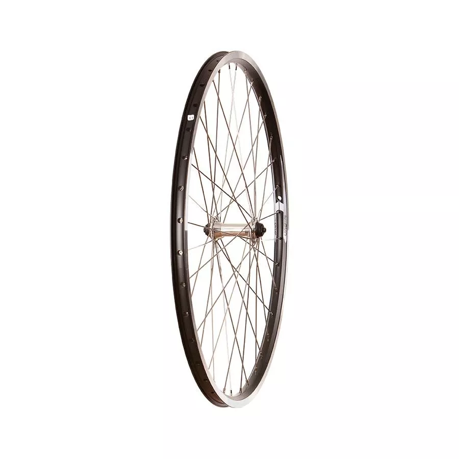 Wheel Shop Evo Tour 19 27.5" Front Wheel, 100mm Q/R, Rim Brake, 36h, Schrader